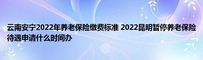 云南安宁2022年养老保险缴费标准 2022昆明暂停养老保险待遇申请什么时间办