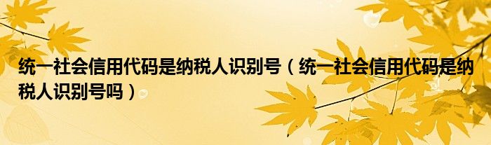 统一社会信用代码是纳税人识别号（统一社会信用代码是纳税人识别号吗）