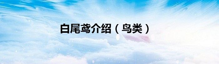 白尾鸢介绍（鸟类）