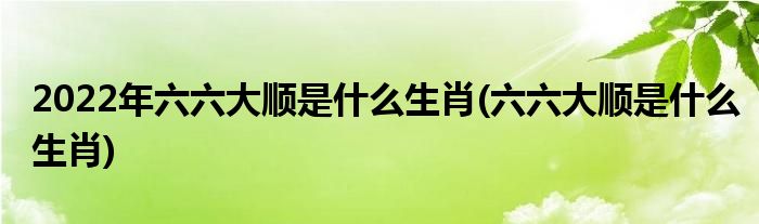 2022年六六大顺是什么生肖(六六大顺是什么生肖)