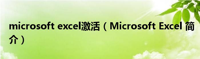 microsoft excel激活（Microsoft Excel 简介）