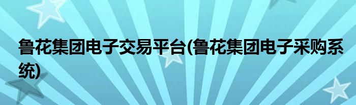 鲁花集团电子交易平台(鲁花集团电子采购系统)