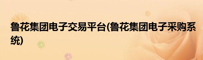 鲁花集团电子交易平台(鲁花集团电子采购系统)