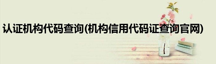 认证机构代码查询(机构信用代码证查询官网)