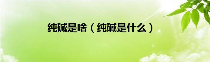纯碱是啥（纯碱是什么）