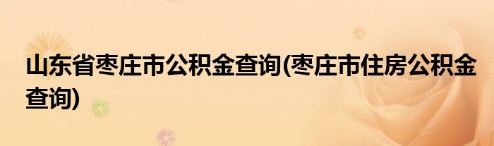 山东省枣庄市公积金查询(枣庄市住房公积金查询)