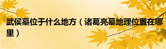 武侯墓位于什么地方（诸葛亮墓地理位置在哪里）