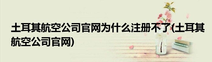 土耳其航空公司官网为什么注册不了(土耳其航空公司官网)