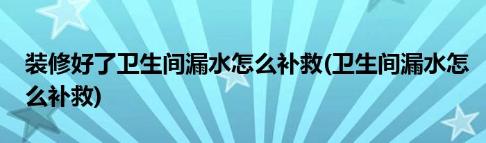 装修好了卫生间漏水怎么补救(卫生间漏水怎么补救)