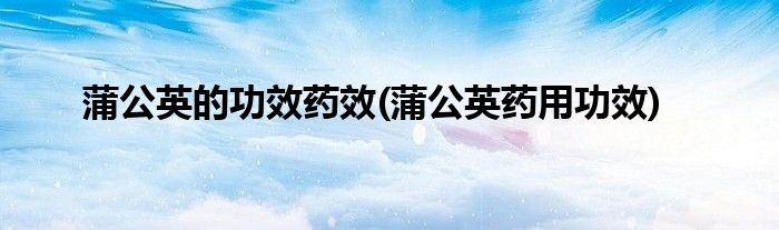 蒲公英的功效药效(蒲公英药用功效)