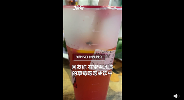 女子称蜜雪冰城中喝出活苍蝇乱爬 视频让网友看吐：商家回应