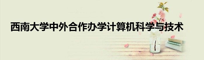 西南大学中外合作办学计算机科学与技术