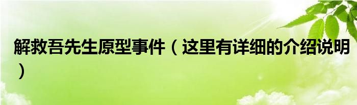 解救吾先生原型事件（这里有详细的介绍说明）