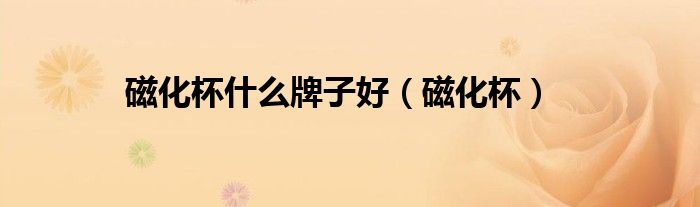 磁化杯什么牌子好（磁化杯）