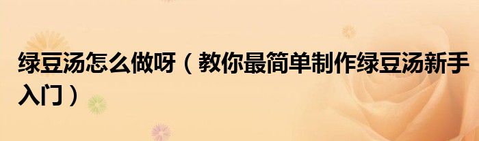 绿豆汤怎么做呀（教你最简单制作绿豆汤新手入门）