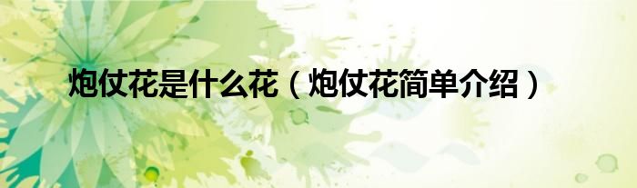 炮仗花是什么花（炮仗花简单介绍）