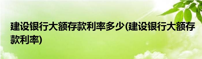 建设银行大额存款利率多少(建设银行大额存款利率)