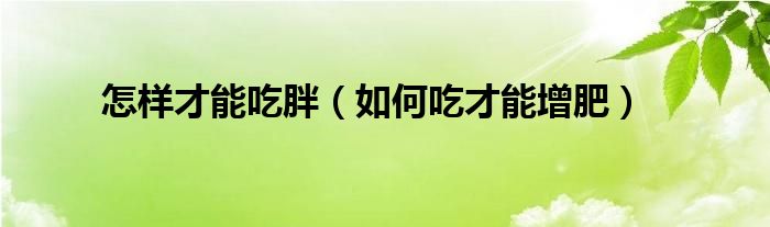 怎样才能吃胖（如何吃才能增肥）