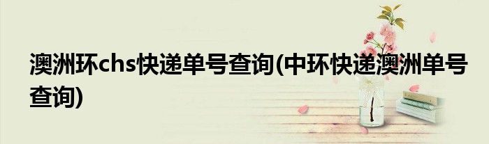 澳洲环chs快递单号查询(中环快递澳洲单号查询)