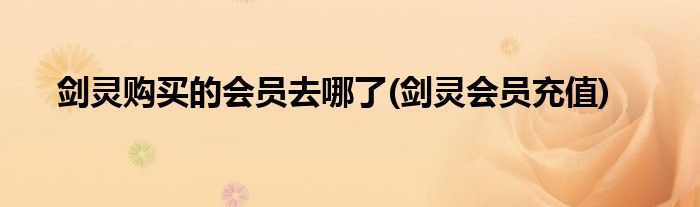 剑灵购买的会员去哪了(剑灵会员充值)
