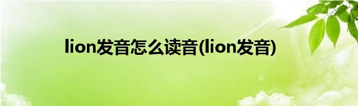 lion发音怎么读音(lion发音)