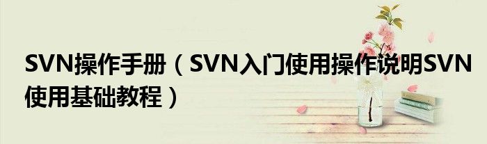SVN操作手册（SVN入门使用操作说明SVN使用基础教程）