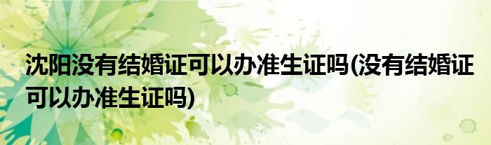 沈阳没有结婚证可以办准生证吗(没有结婚证可以办准生证吗)
