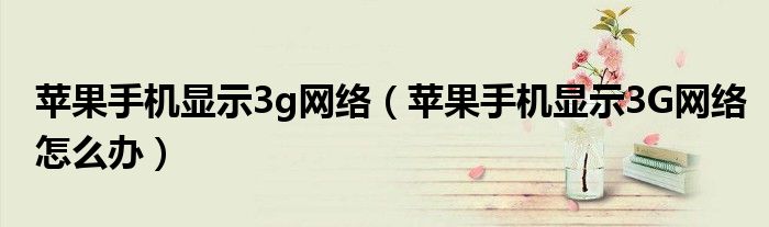 苹果手机显示3g网络（苹果手机显示3G网络怎么办）