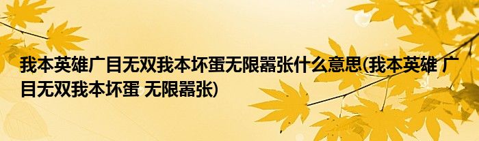 我本英雄广目无双我本坏蛋无限嚣张什么意思(我本英雄 广目无双我本坏蛋 无限嚣张)