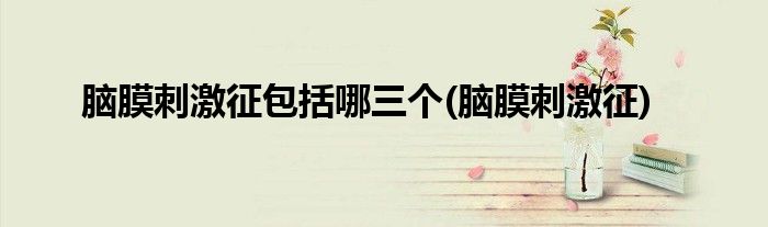脑膜刺激征包括哪三个(脑膜刺激征)