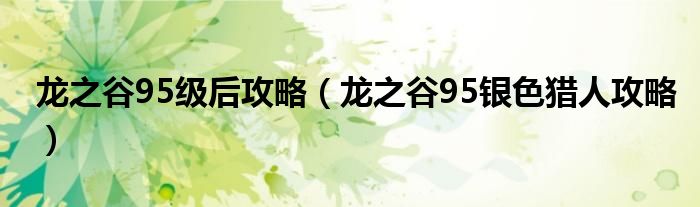 龙之谷95级后攻略（龙之谷95银色猎人攻略）