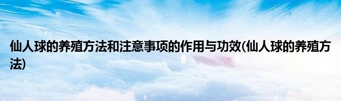 仙人球的养殖方法和注意事项的作用与功效(仙人球的养殖方法)