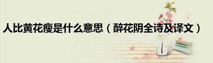 人比黄花瘦是什么意思（醉花阴全诗及译文）