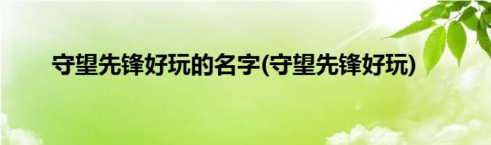 守望先锋好玩的名字(守望先锋好玩)