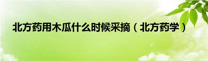 北方药用木瓜什么时候采摘（北方药学）