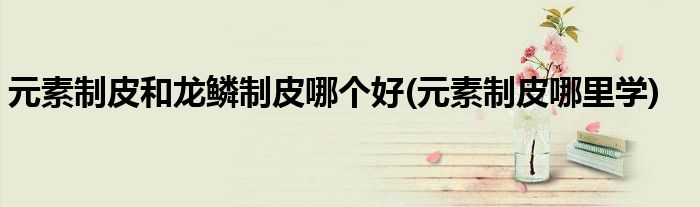 元素制皮和龙鳞制皮哪个好(元素制皮哪里学)
