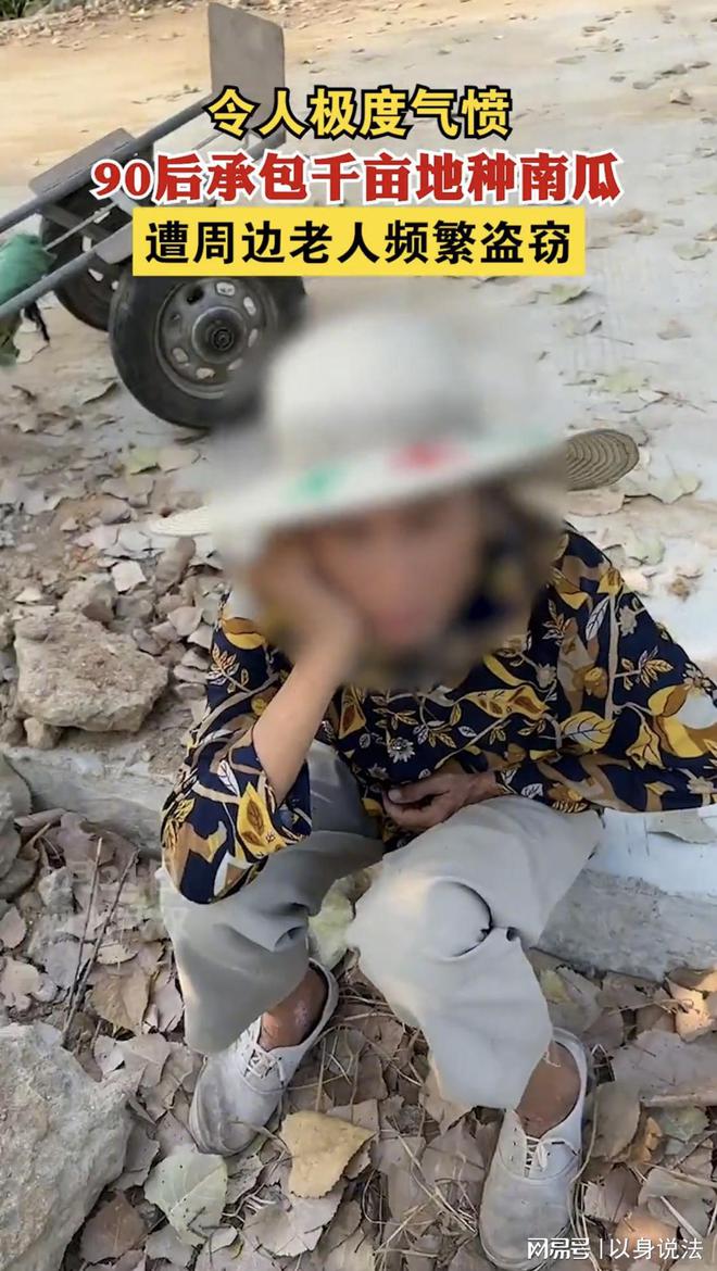 湖北武汉，女子千亩南瓜被附近老人多次组团来盗窃