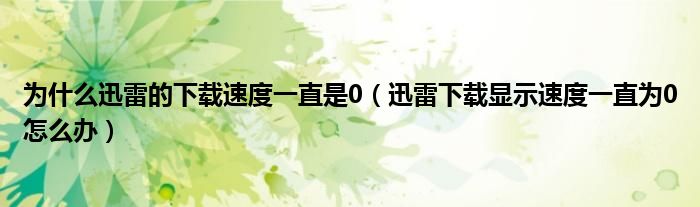 为什么迅雷的下载速度一直是0（迅雷下载显示速度一直为0怎么办）