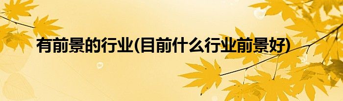 有前景的行业(目前什么行业前景好)