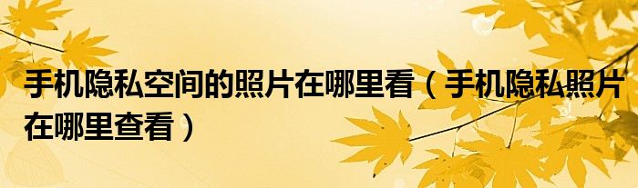 手机隐私空间的照片在哪里看（手机隐私照片在哪里查看）