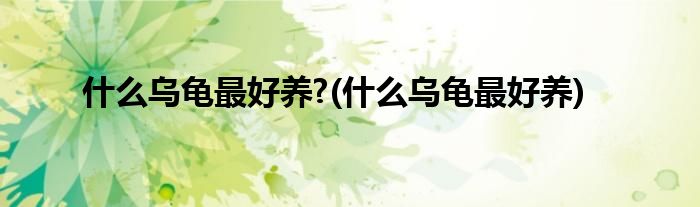 什么乌龟更好养?(什么乌龟更好养)