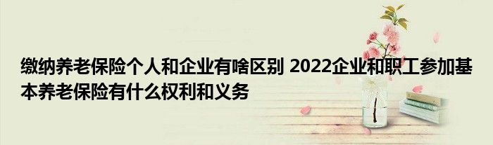 缴纳养老保险个人和企业有啥区别 2022企业和职工参加基本养老保险有什么权利和义务