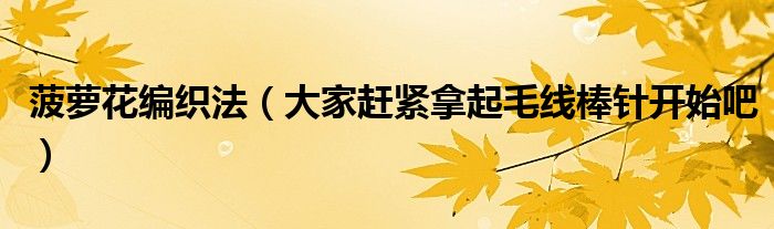 菠萝花编织法（大家赶紧拿起毛线棒针开始吧）