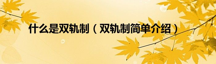 什么是双轨制（双轨制简单介绍）