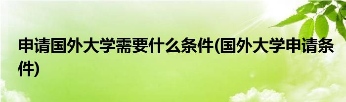 申请国外大学需要什么条件(国外大学申请条件)