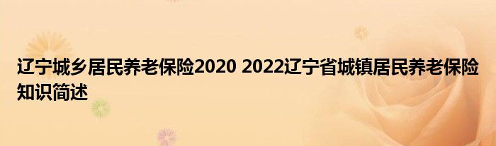 辽宁城乡居民养老保险2020 2022辽宁省城镇居民养老保险知识简述