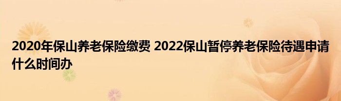 2020年保山养老保险缴费 2022保山暂停养老保险待遇申请什么时间办
