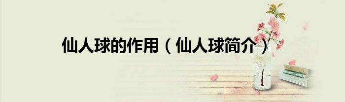 仙人球的作用（仙人球简介）