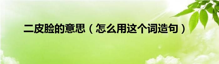 二皮脸的意思（怎么用这个词造句）