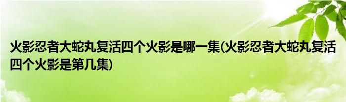 火影忍者大蛇丸复活四个火影是哪一集(火影忍者大蛇丸复活四个火影是第几集)